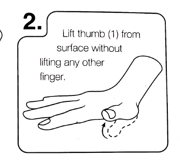 Lift thumb from surface