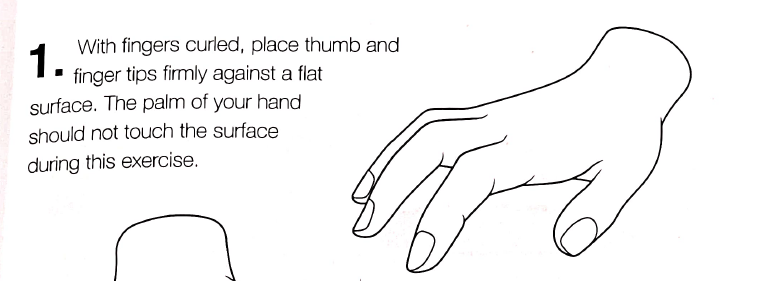 Fingers curled, tips on surface
