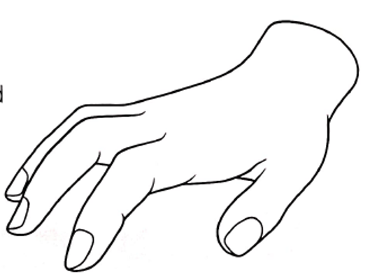 Fingers curled, tips on surface