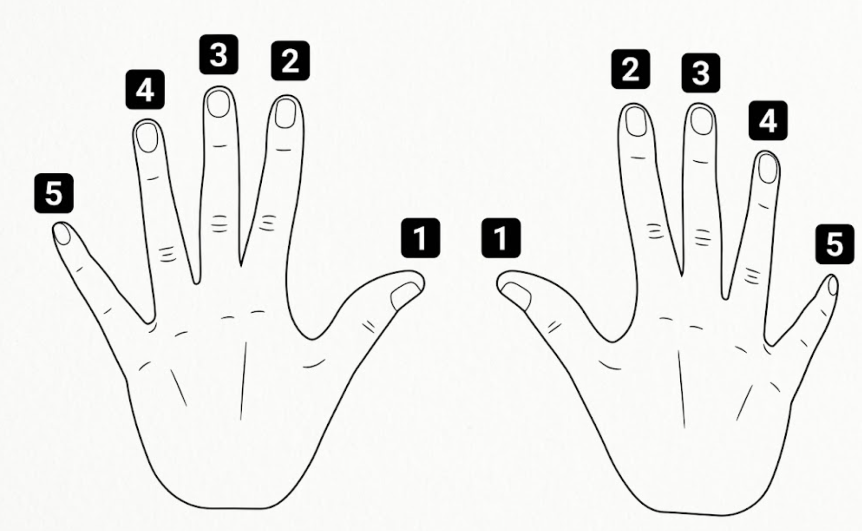 Left and right hands with fingers numbered 1–5