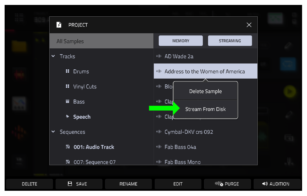 PROJECT: Stream From Disk для Address to the Women of America