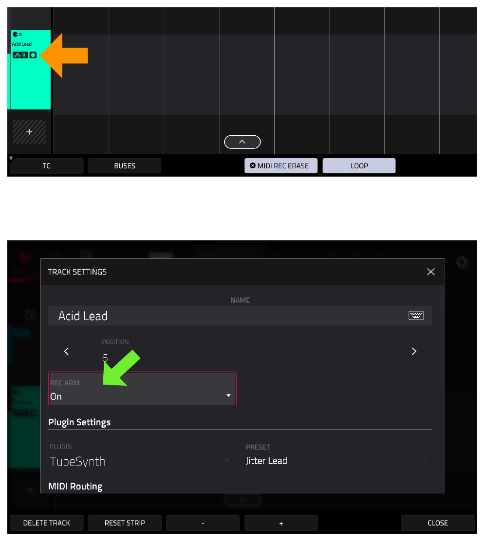 Acid Lead: Rec Arm и TRACK SETTINGS REC ARM On, Jitter Lead