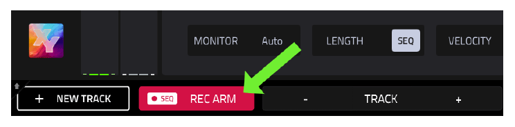 Кнопка REC ARM на экране MAIN
